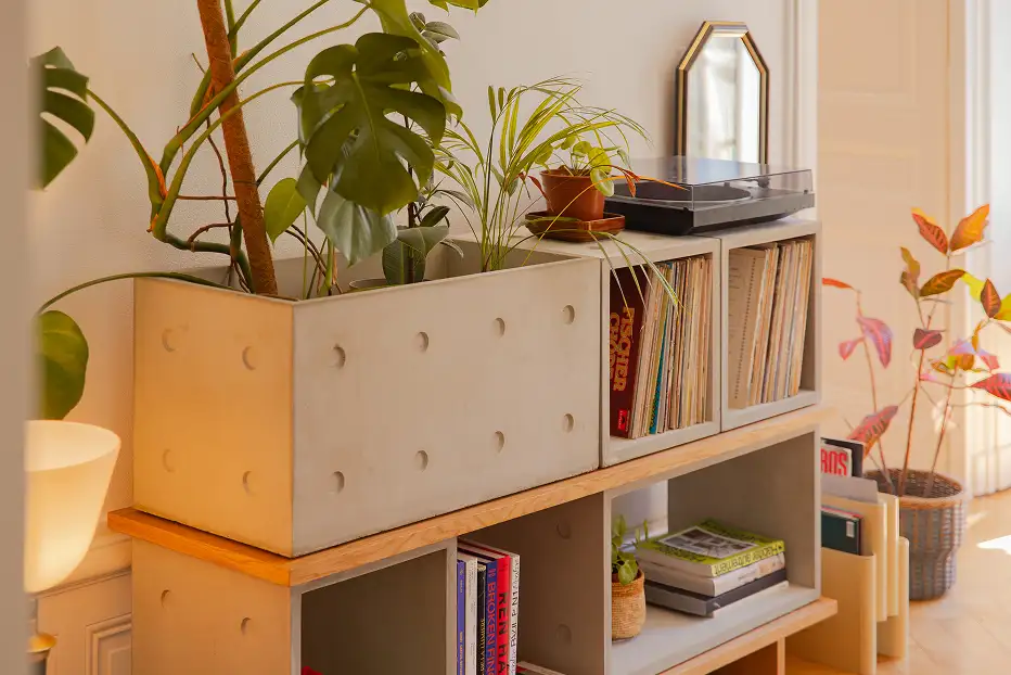 Modules Dice en béton sur étagère en bois avec plantes et vinyles — Lyon Béton