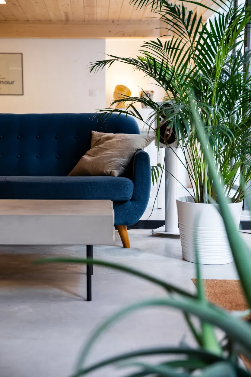 concrete coffee table curb