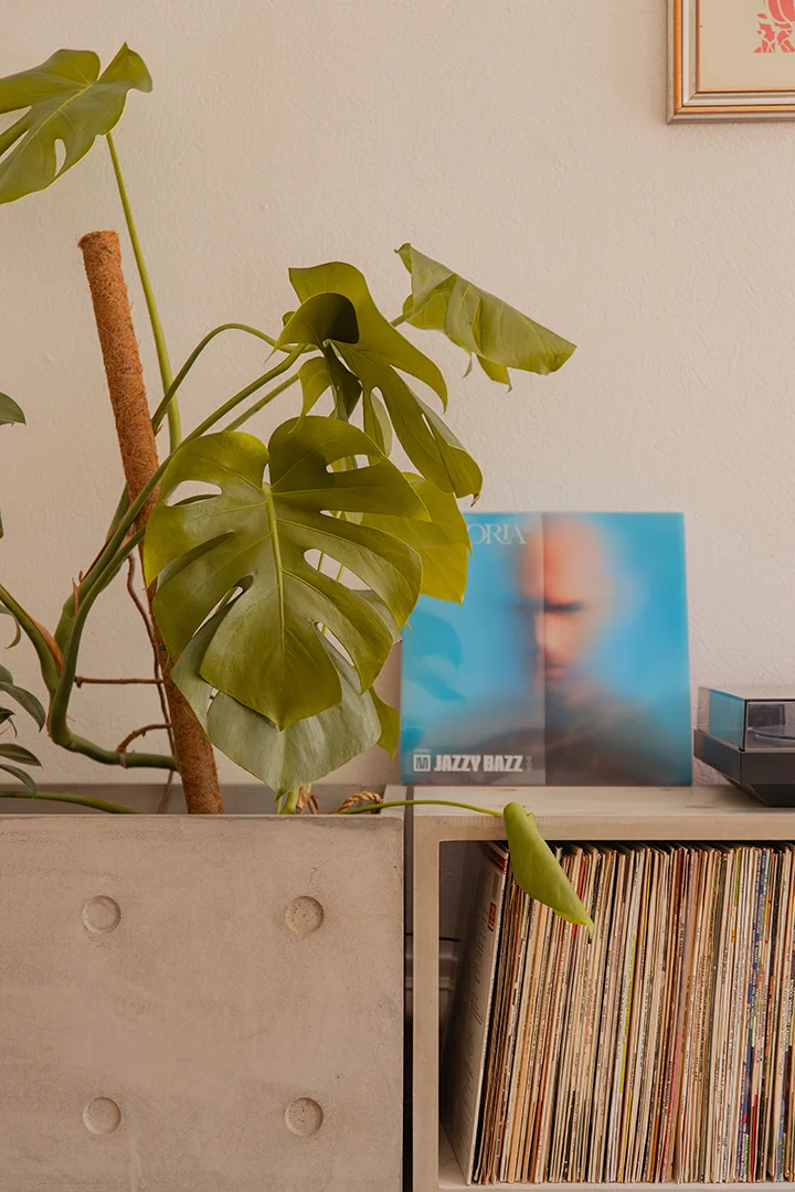 cube de rangement en béton pour vinyles et plantes d'intérieur