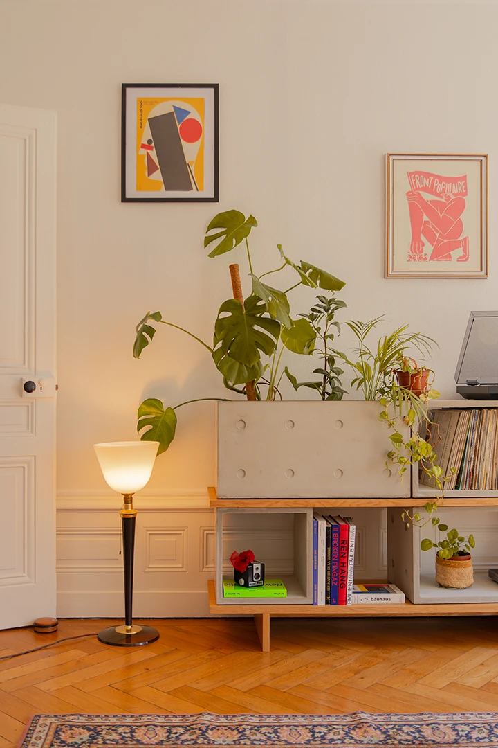 Plante verte a grande feuille dans un meuble de rangement en béton dans un appartement haussmannien